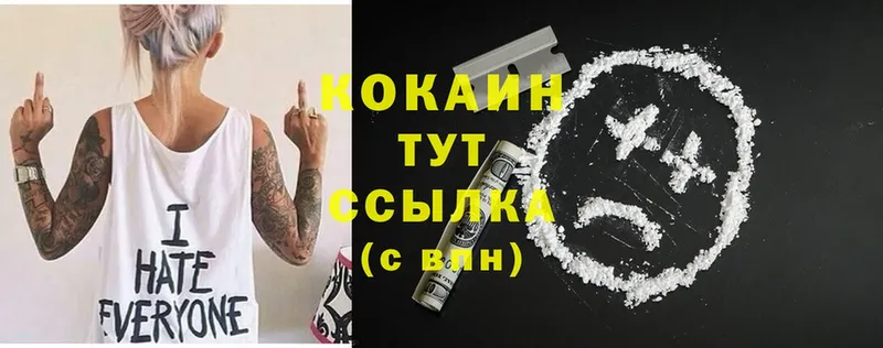 Cocaine Fish Scale  МЕГА ТОР  Белёв 